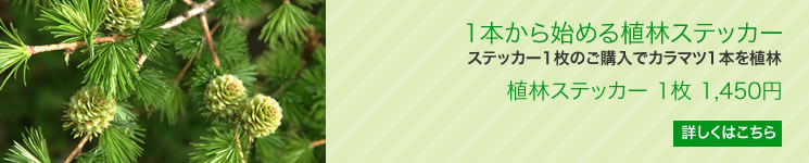 1本から始める植林ステッカー