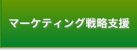 マーケティング戦略支援