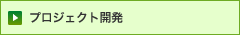 プロジェクト開発