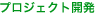 プロジェクト開発
