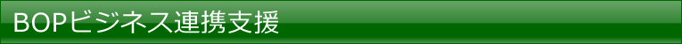 BOPビジネス連携支援