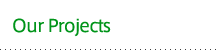 Our Projects