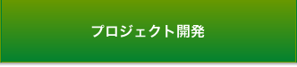 プロジェクト開発