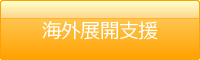 海外展開支援実績紹介