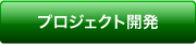プロジェク開発