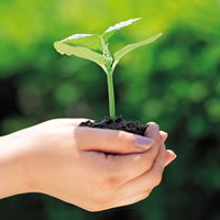 Carbon free consulting