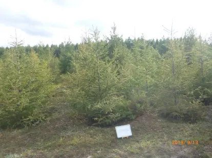 20200720154335_57.webp