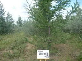 20220810152133_98.webp