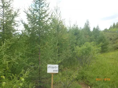 20220722151254_75.webp