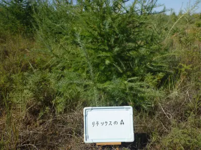20171130185950_95.webp