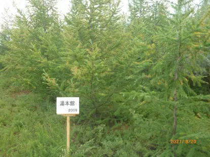 湯元館の森