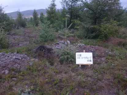 三国コカ・コーラグループの森