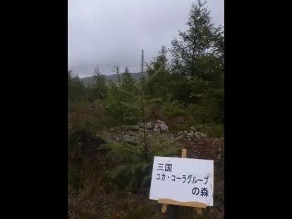 20190125103133_63.webp