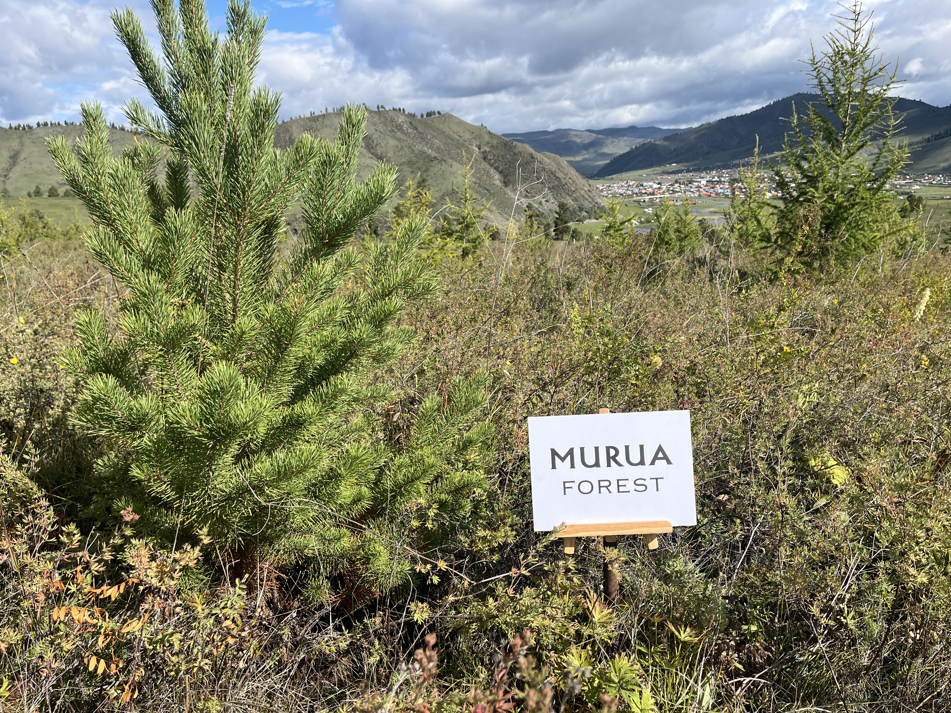 MURUA2025_5.jpg