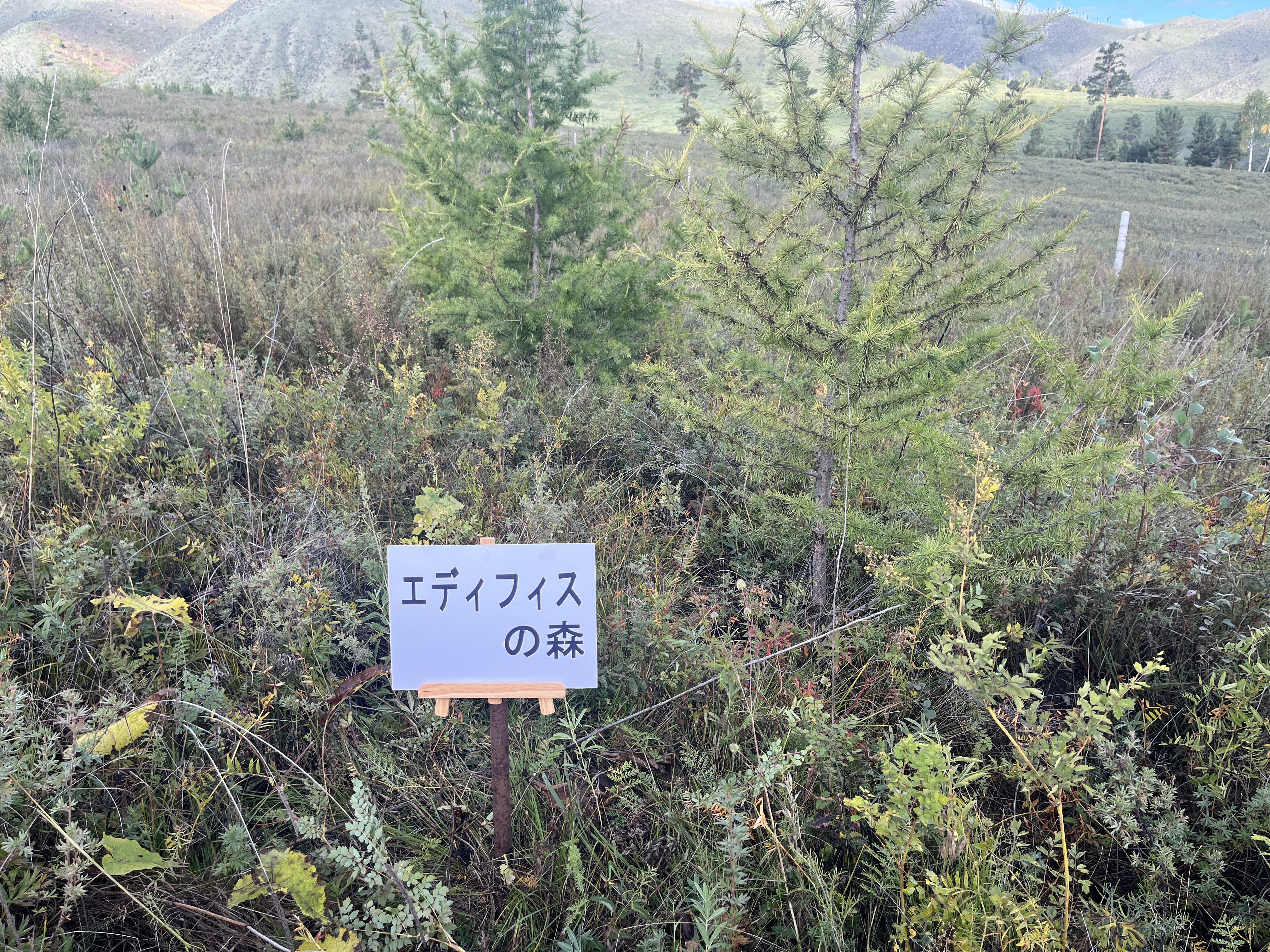 エディフィス2025_3M.jpg
