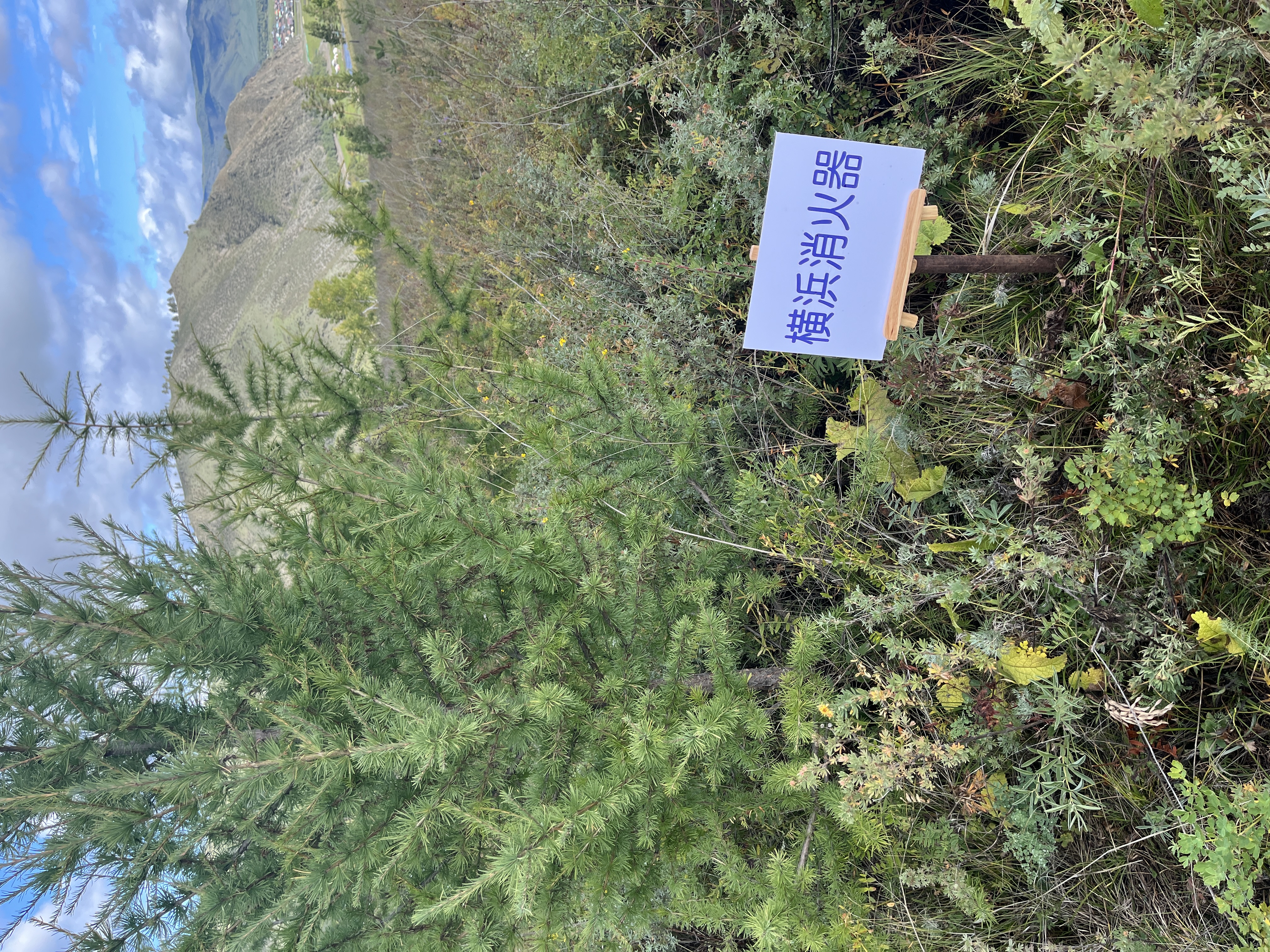 横浜消火器の森